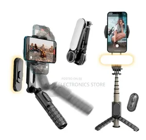 Gimbal + Wireless Tripod + Fill Light