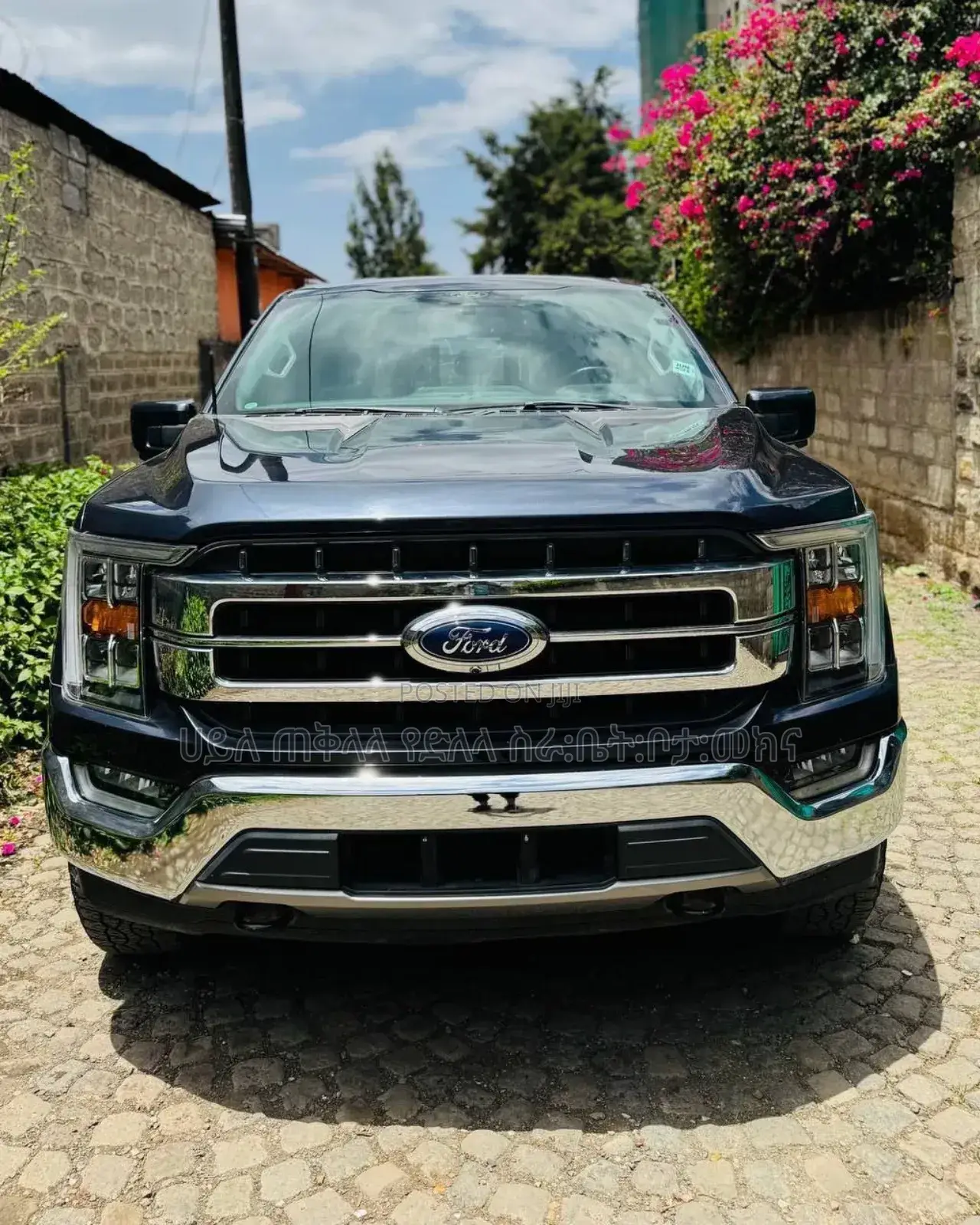 Ford F-150 2021 Gray