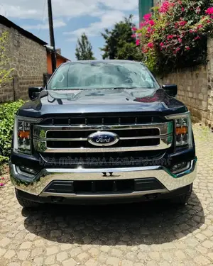 Ford F-150 2021 Gray