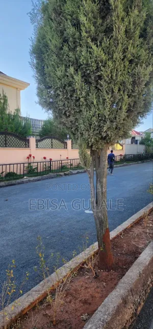 6bdrm Apartment in Roseta Real State, Yeka for sale