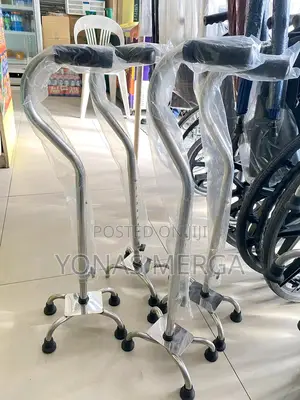 Iron Suvidha Walking Sticks Walking Sticks