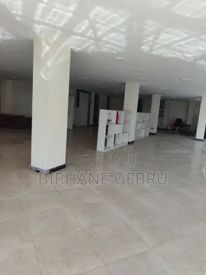 Luxury Apartiment Rent for Office or Business