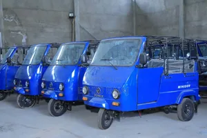 New Bajaj 2024 Blue