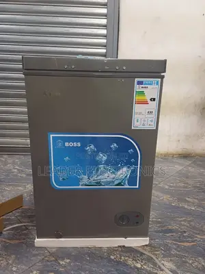 Boss Chest Freezer