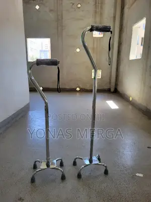 Walking Stick Other፶卝cane,Silver,Mobility Aid Equipment,Cane
