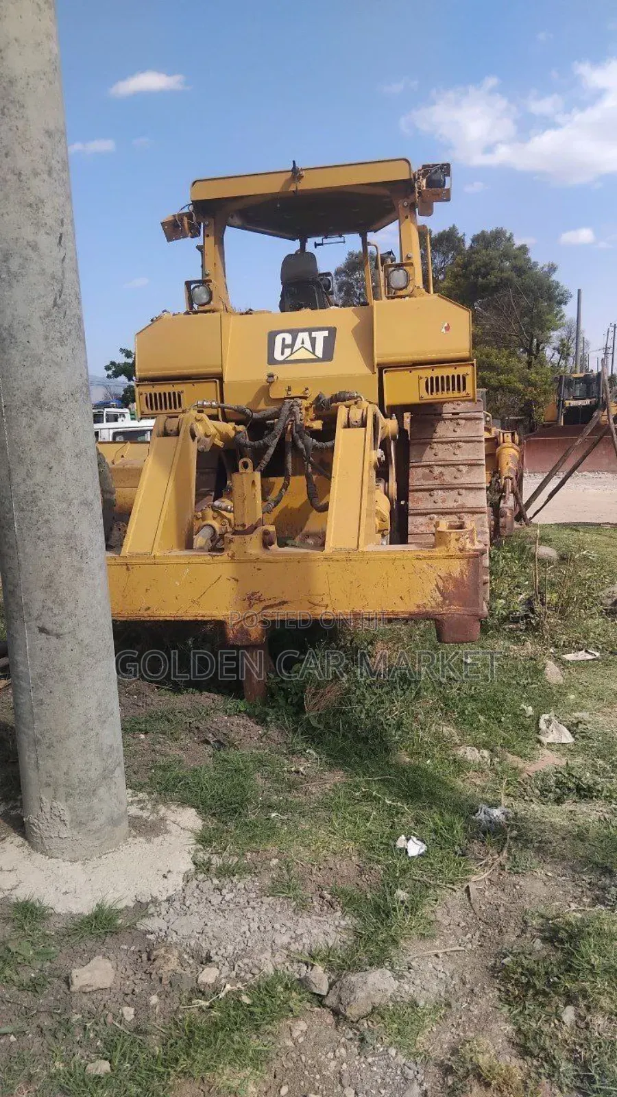 Cat Dozier 2014