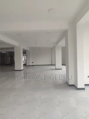 Luxury Apartiment Rent for Office