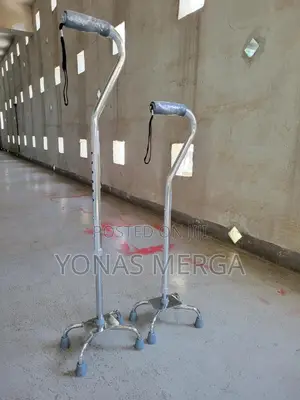Walking Cane(Shaft Diameter)Cane walking Cane Buyer's Guide