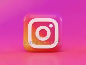 Instagram Followers and Likes