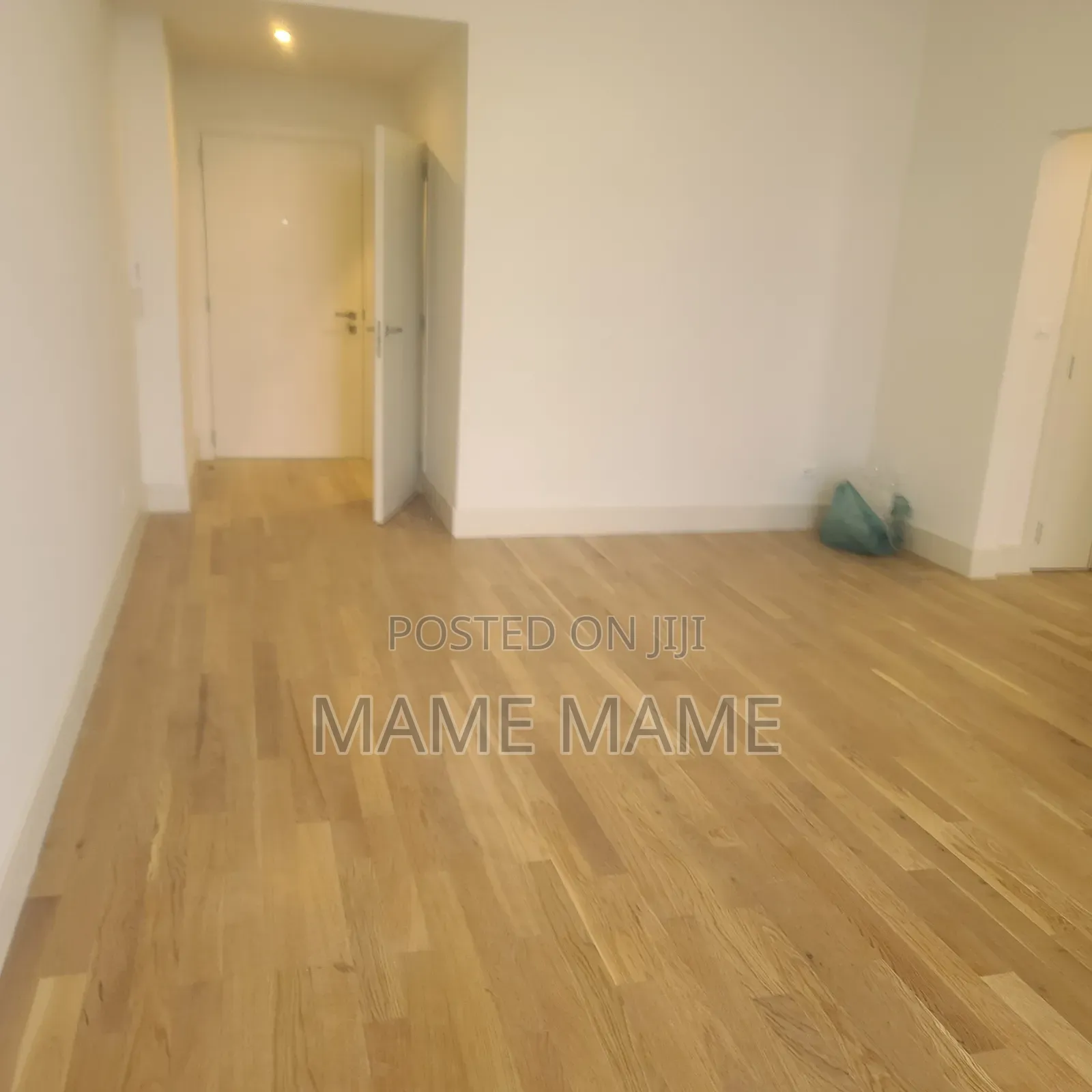 1bdrm Apartment in Addis Abeba, Lideta for rent