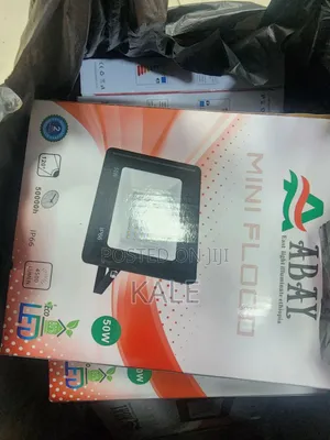 Flood Light