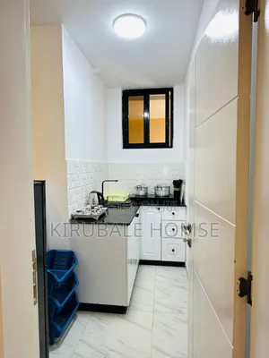 Furnished 1bdrm Apartment in Bole for rent