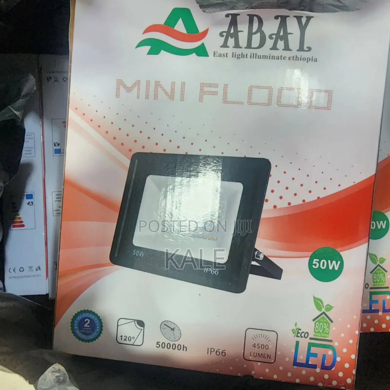 Flood Light
