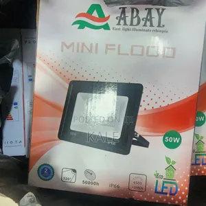Flood Light