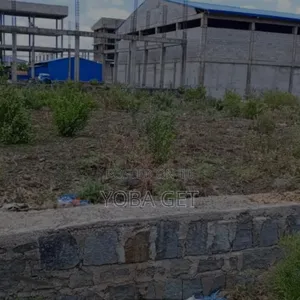 አስቸካይ የሚሸጥ መጋዘን