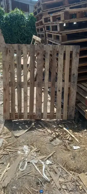 Pallet for Store