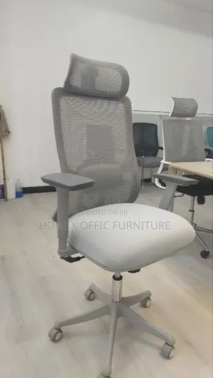 Managerial Mesh Chair