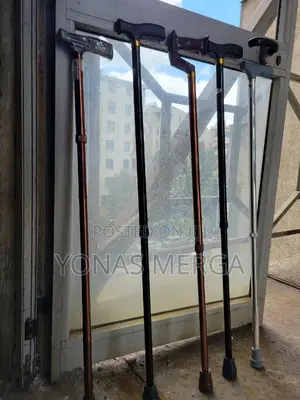 Walking Stick፸今guide Cane Crutch Bronze a Dp3፬虫d/T Color ከዘራ