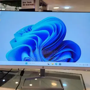 Computer Monitor