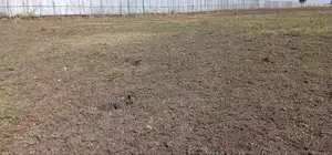 Fenced Plot /Land for Rent on Asphalt Road