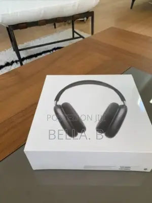 Apple Airpod Max Headset Long-Lasting Battery Life