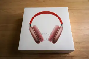 Apple Airpod Max Headset Everywhere You Go