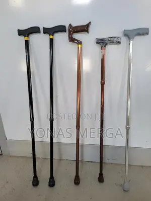 Stand-Assist Armrests - Stable Walking Stick