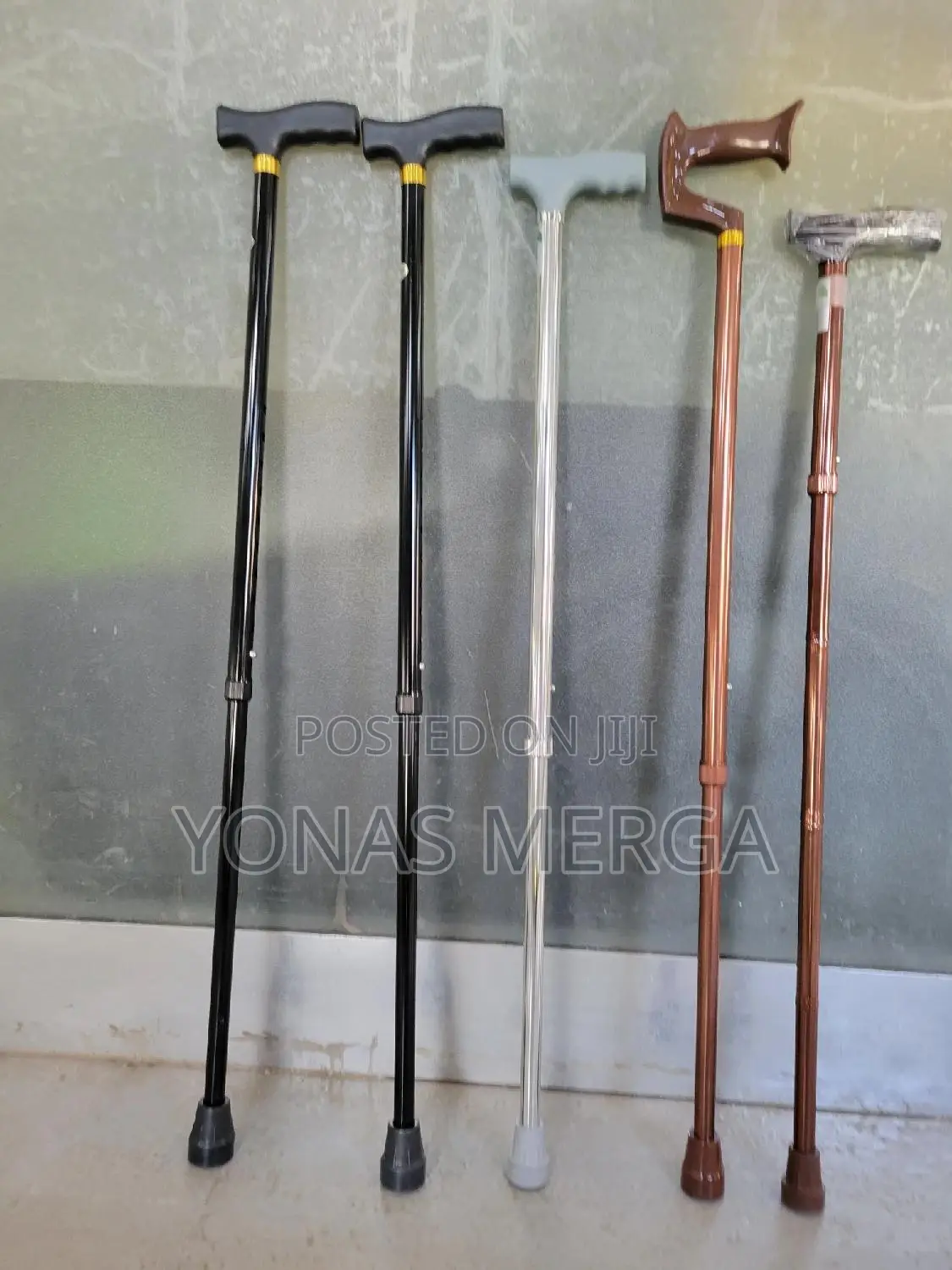 Old Man's Walking Stick (1 Foot Style)