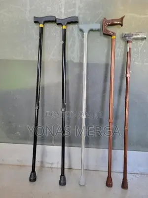 Old Man's Walking Stick (1 Foot Style)