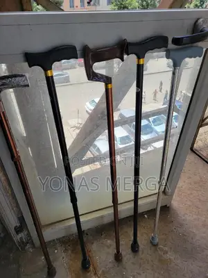 Walking Stick፵√Mountain Aluminum Walking Stick∆¤Faygz Cane