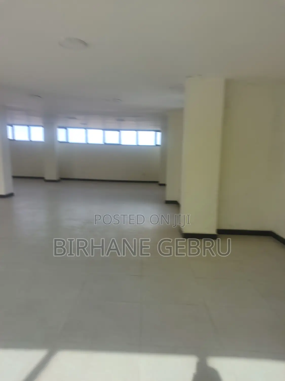Luxury Apartiment for Office or Business
