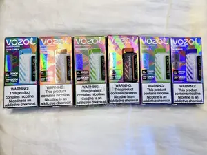 Vozol 12,000 Puffs With Different Flavors