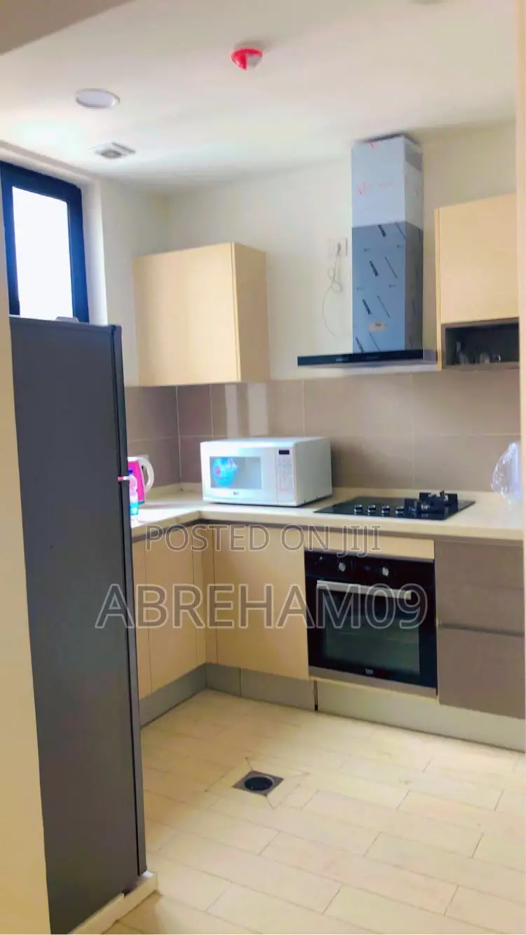 Furnished 2bdrm Apartment in Alsam Real State, Lideta for rent
