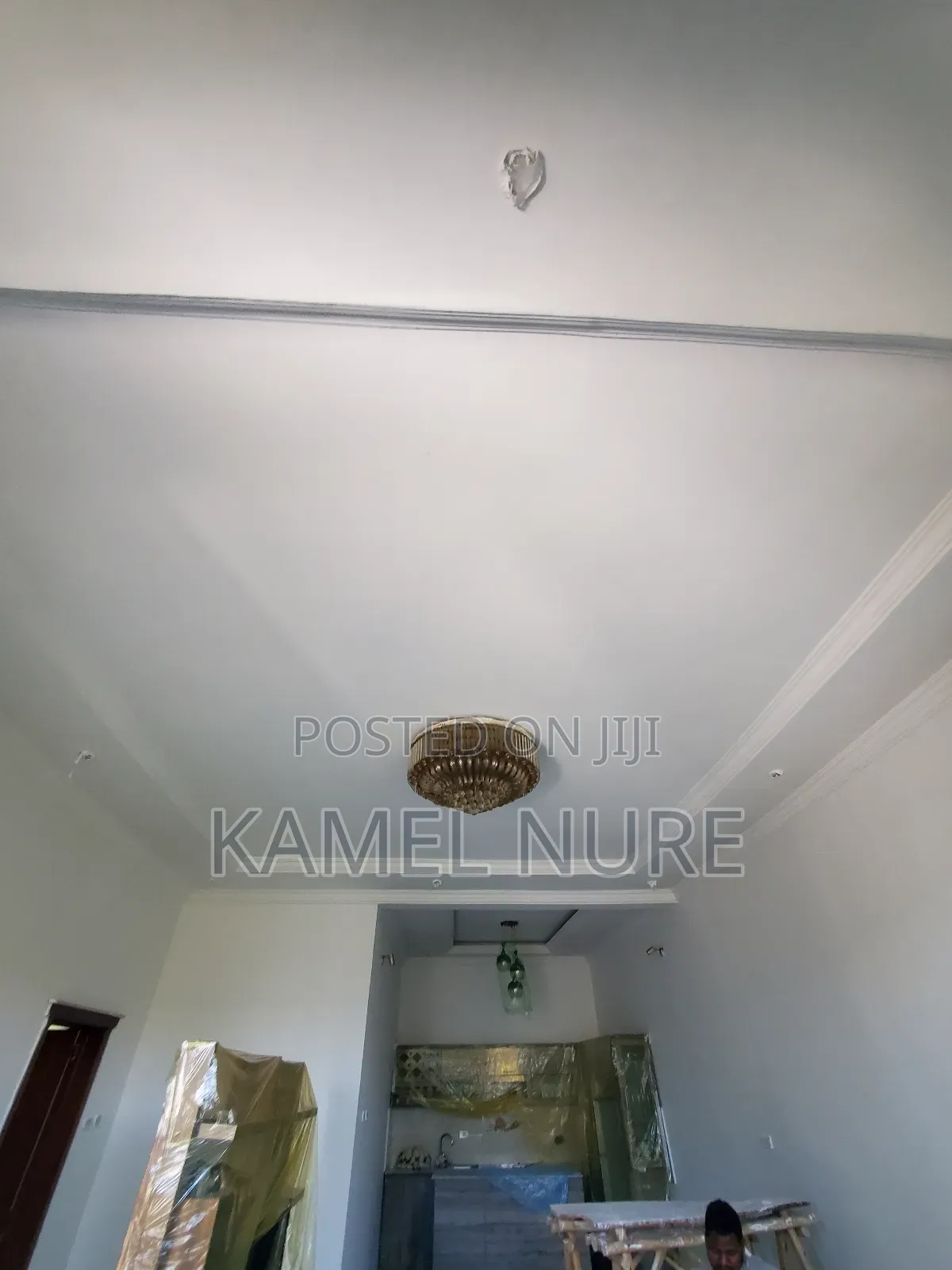 Paniting Services