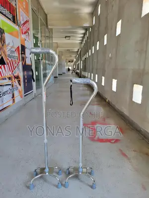 These Canes Are Made Out of Aluminum and Have a Small Base