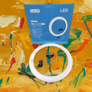 Shine On: 14-Inch Light