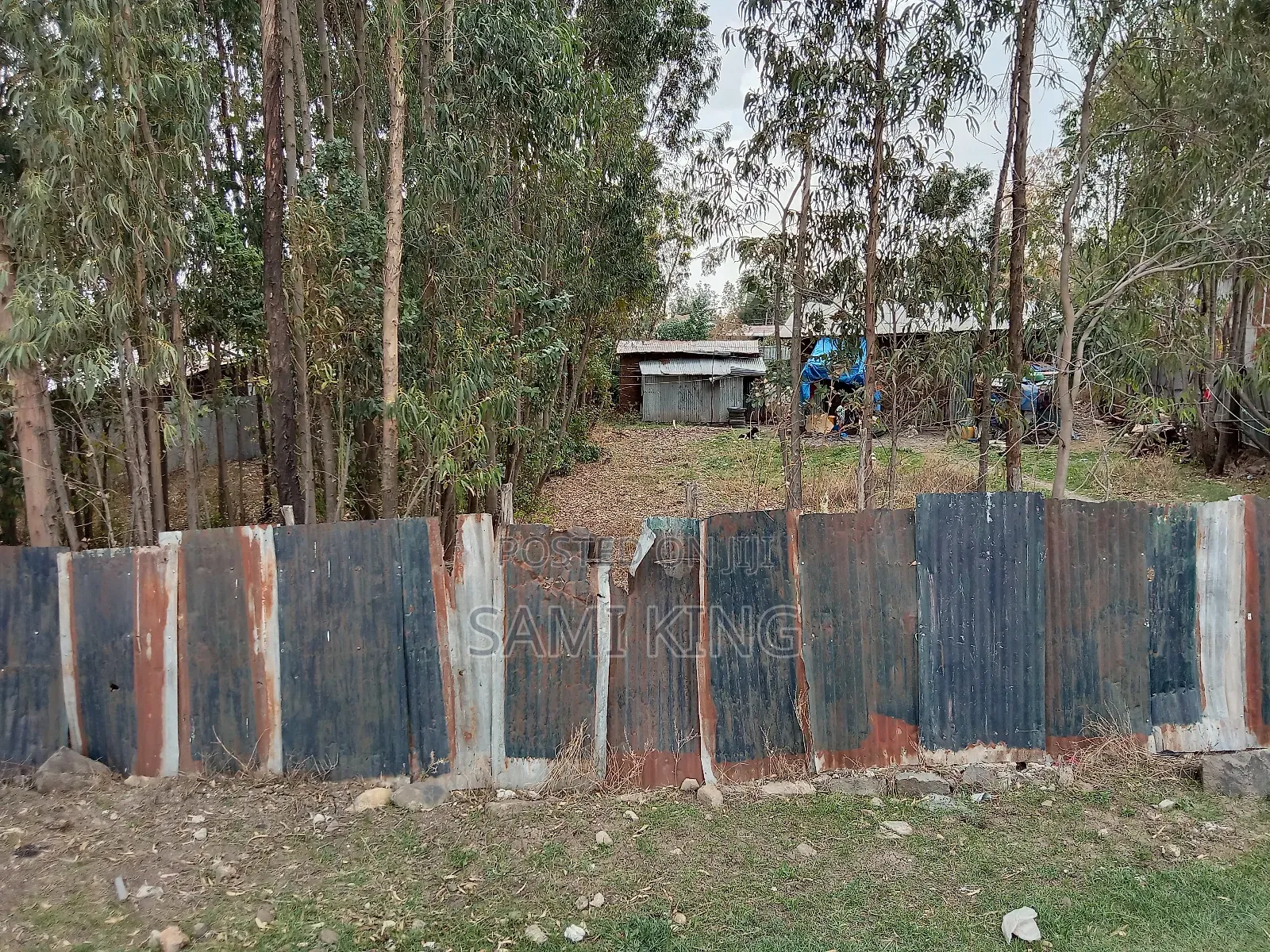 Land for Sale in Bulbula Refenti
