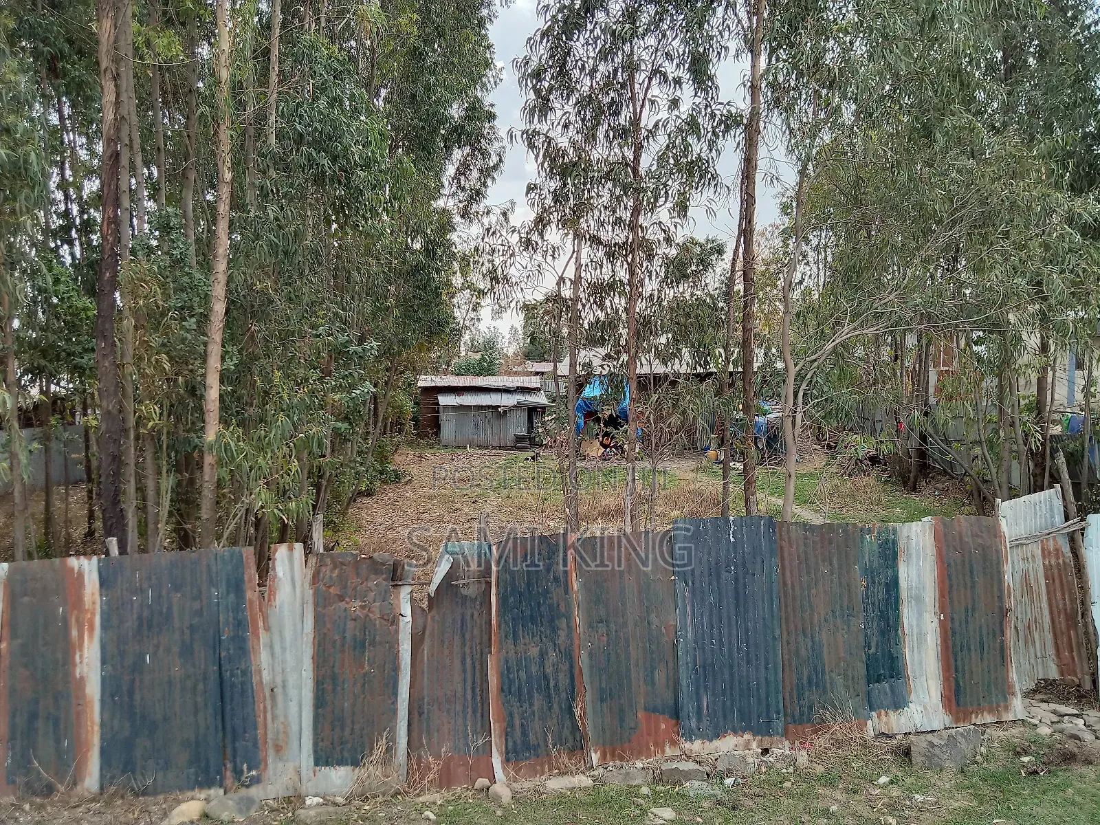 Land for Sale in Bulbula Refenti
