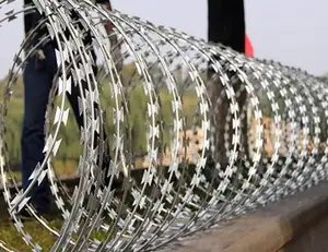 Danger Fence አደገኛ አጥር