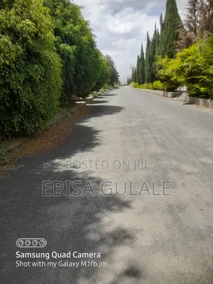 5bdrm Apartment in Roseta Real State, Yeka for sale