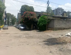 Bisrate Gebriel, Old Villa for Sale 690sqm