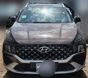 Hyundai Santa Fe 2023 Brown