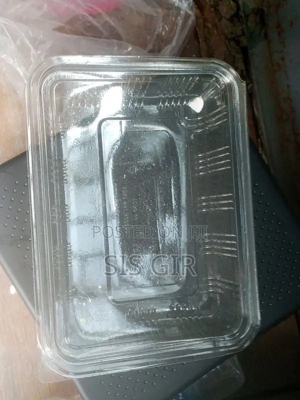 Plastic Food Containers With Lids Takeaway