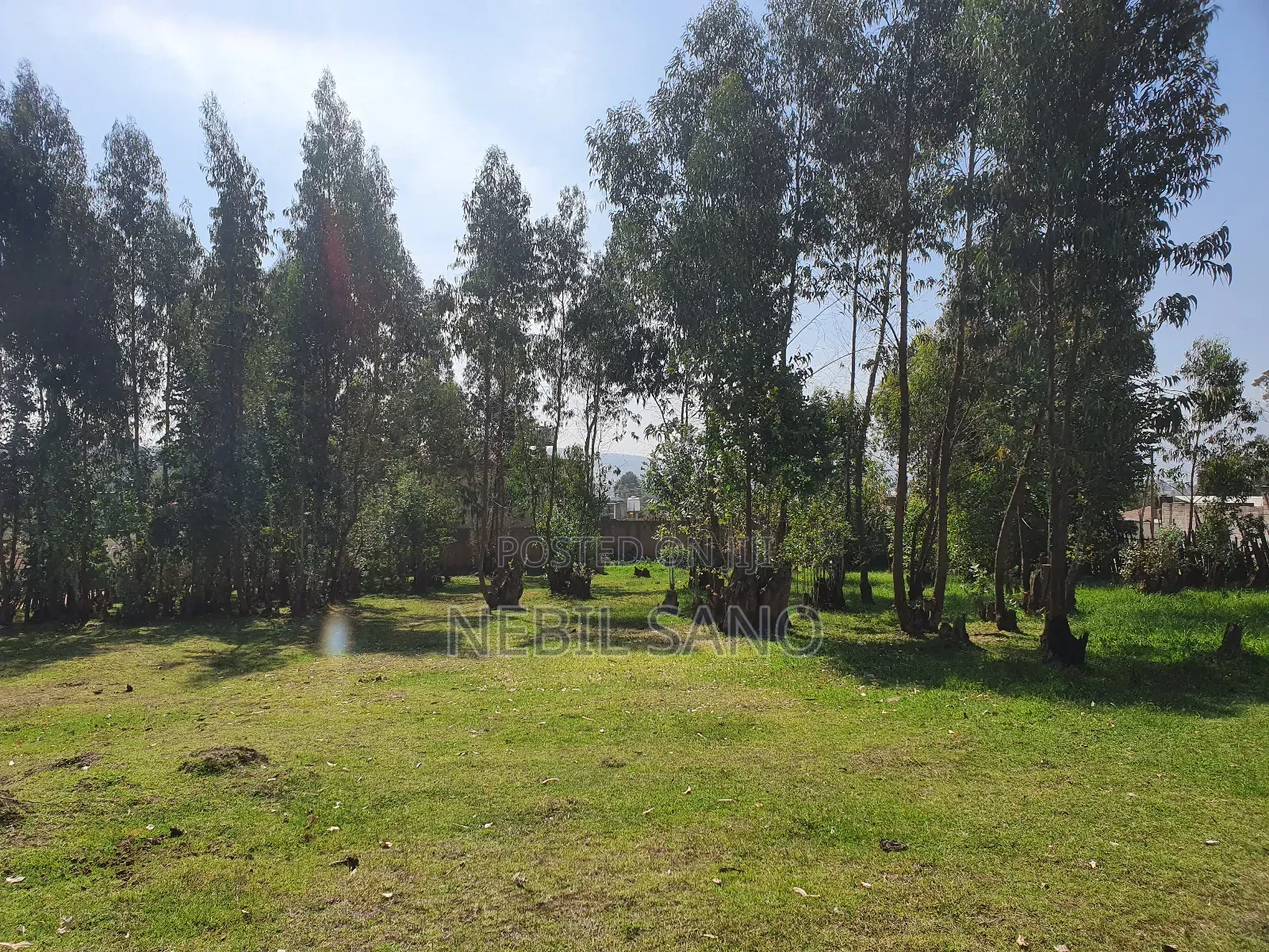 3200 SQM Land Sell in Holeta Digital Carta(መሬት ድጅታል ካርታ ያለው በሆለታ የሚሸጥ)