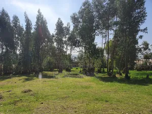 3200 SQM Land Sell in Holeta Digital Carta(መሬት ድጅታል ካርታ ያለው በሆለታ የሚሸጥ)