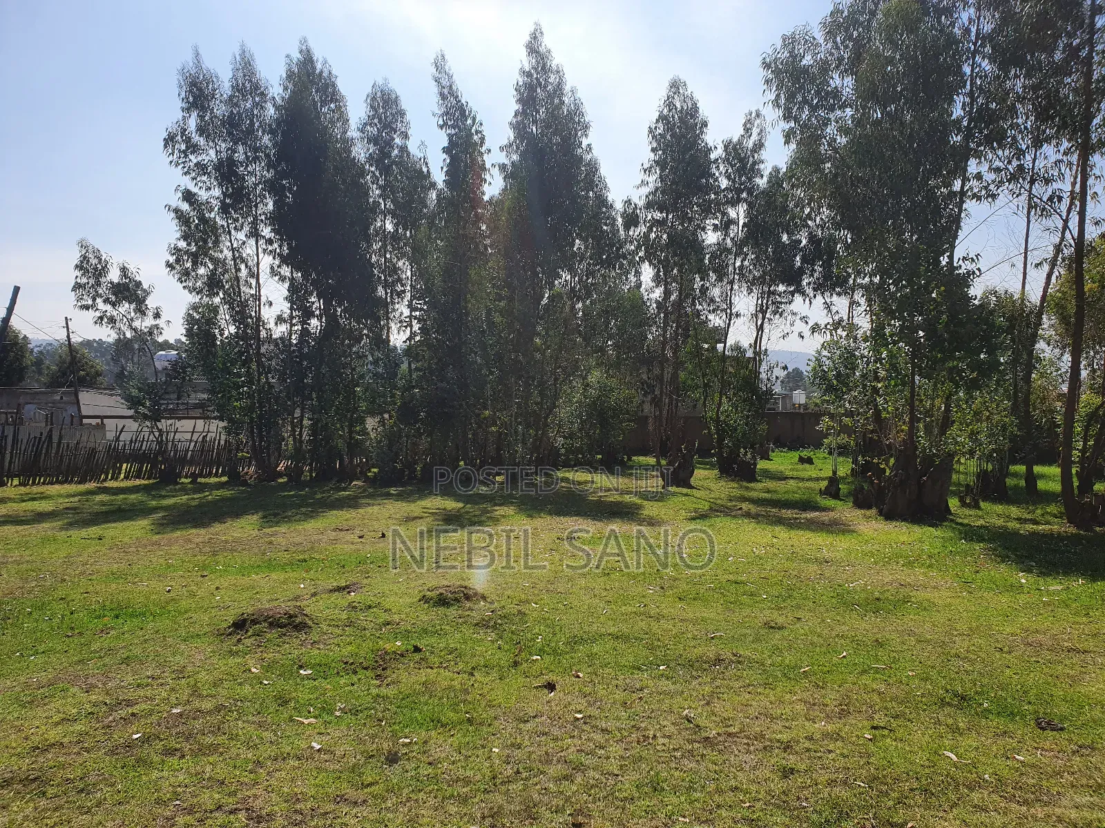 3200 SQM Land Sell in Holeta Digital Carta(መሬት ድጅታል ካርታ ያለው በሆለታ የሚሸጥ)