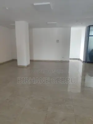 Luxury Apartiment Remt for Ngo Office