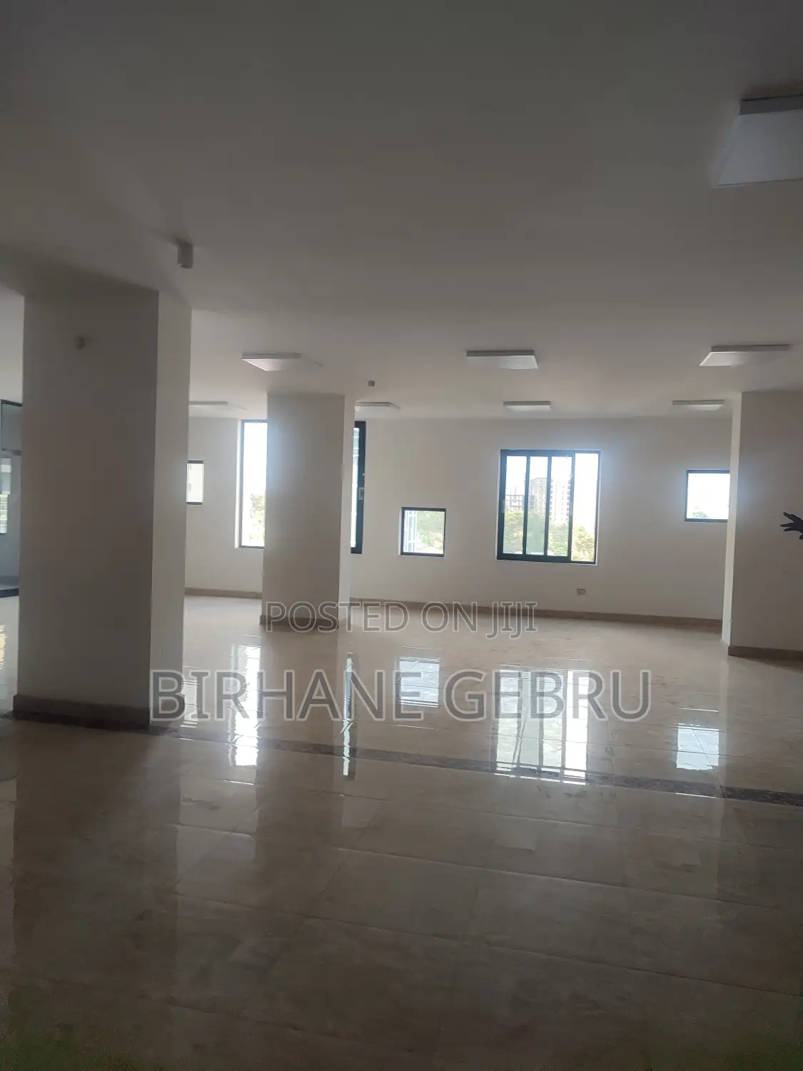 Luxury Apartiment Remt for Ngo Office