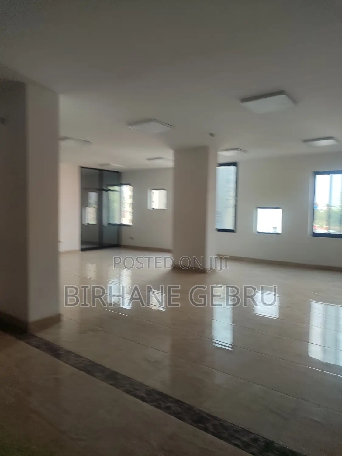 Luxury Apartiment Remt for Ngo Office