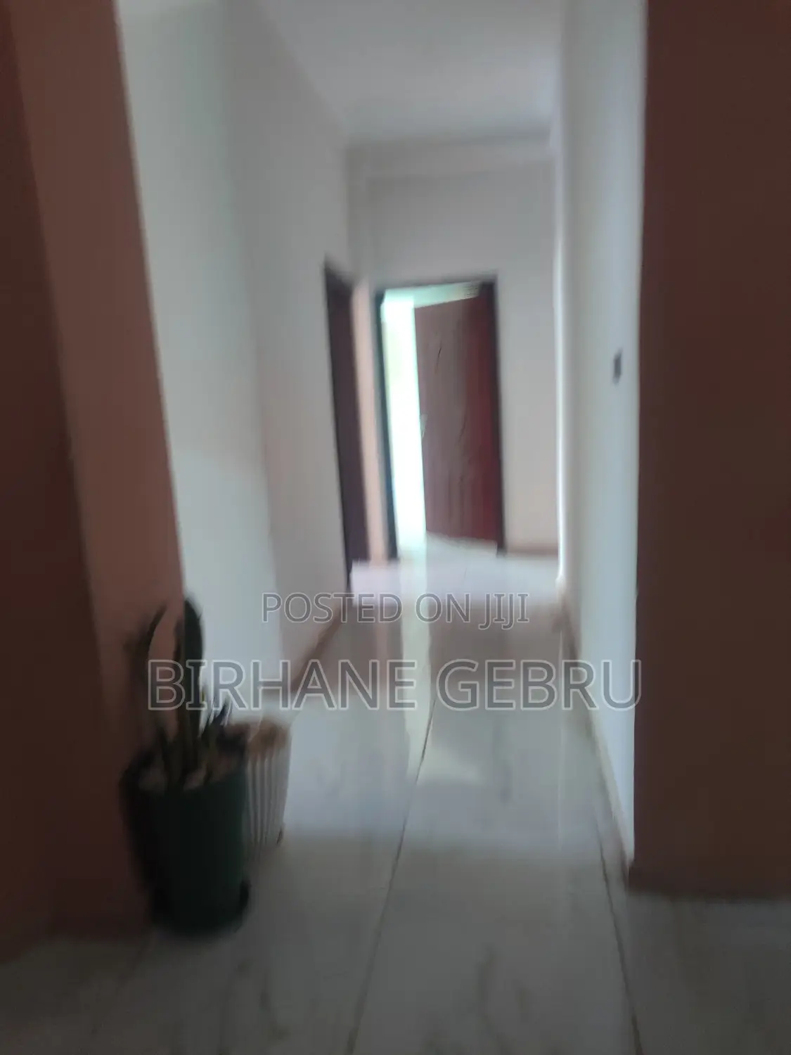 Luxury Apartiment Rent for Office